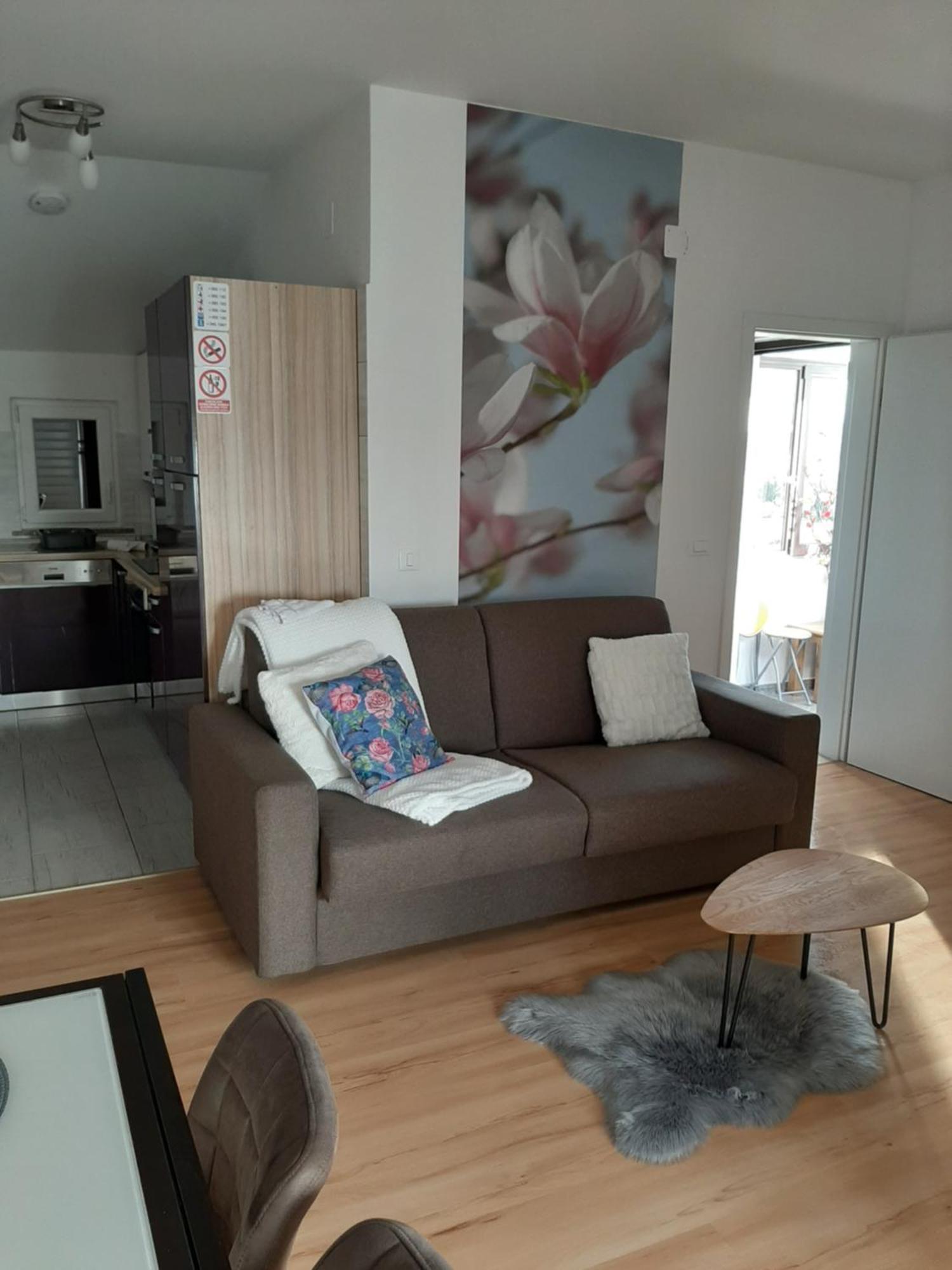 Apartment Dorina Buje Quarto foto